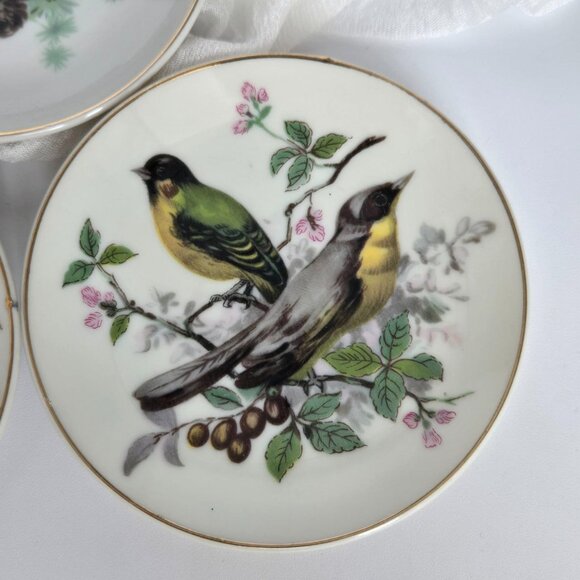 BIRDS! Set of 6 Vintage Bird Wall Plates – Mini Bird Plates with gold rim JAPAN - Picture 5 of 12